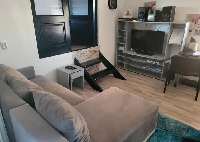 Apartman Djokic 1