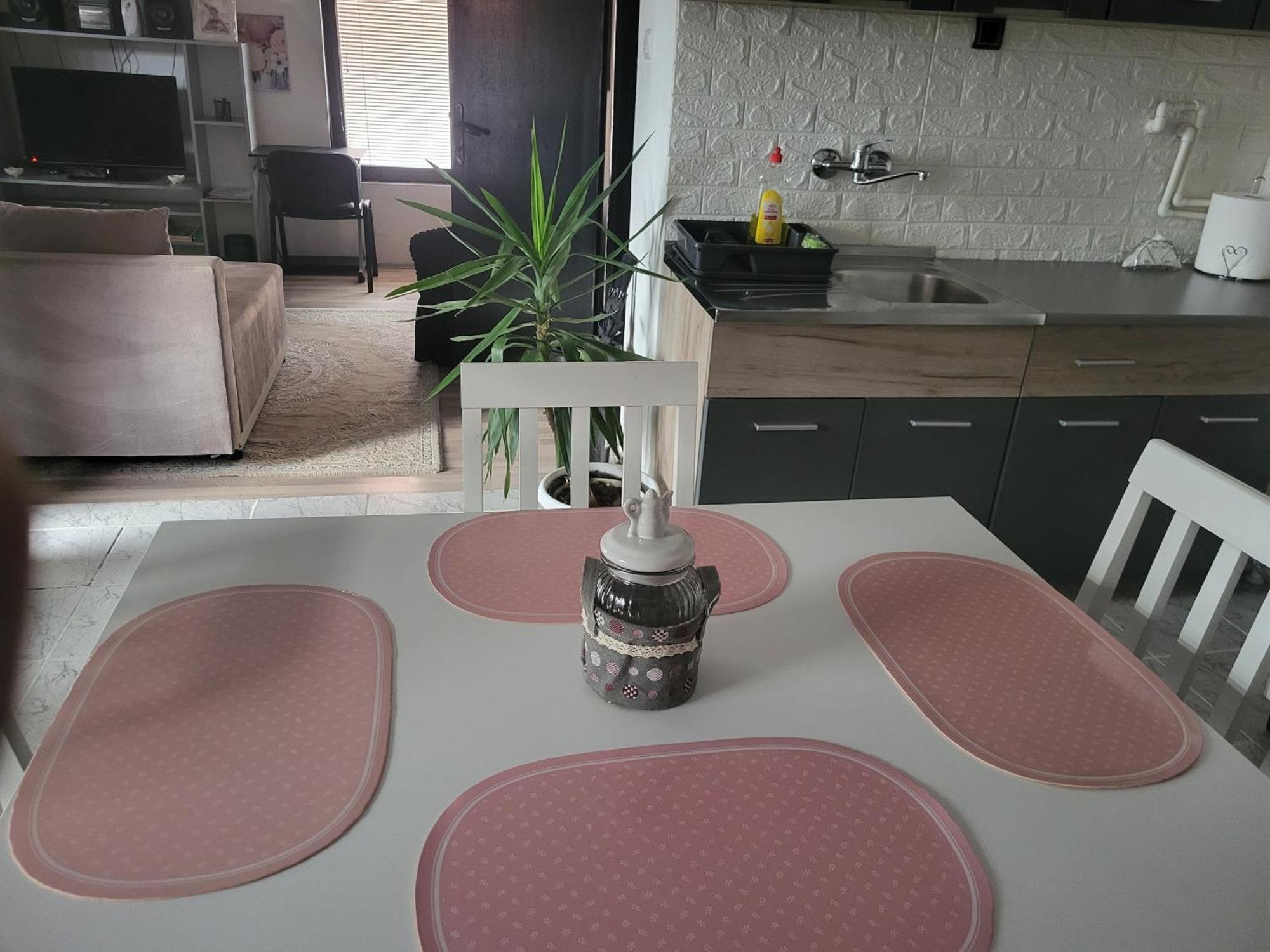 Apartment Djokic 1 Pozarevac